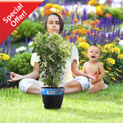 Smart Self Watering Planter